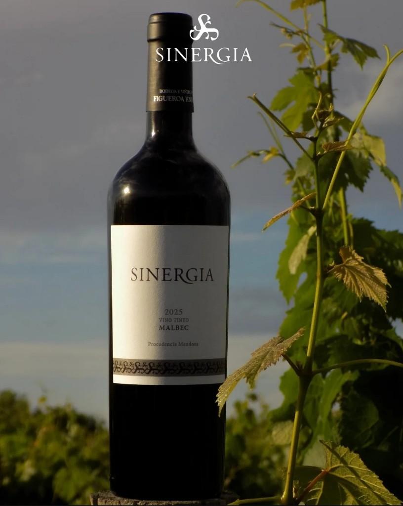 Miniatura 2 de Caja Cerrada x 6 Sinergia Varietal Malbec