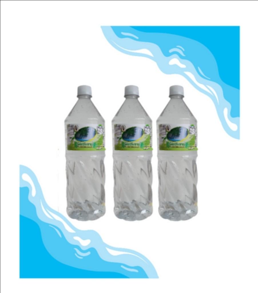 Agua Ginseng 1.5