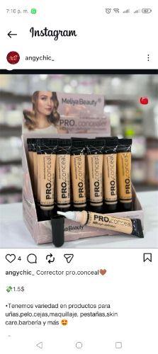 Corrector con brocha papi