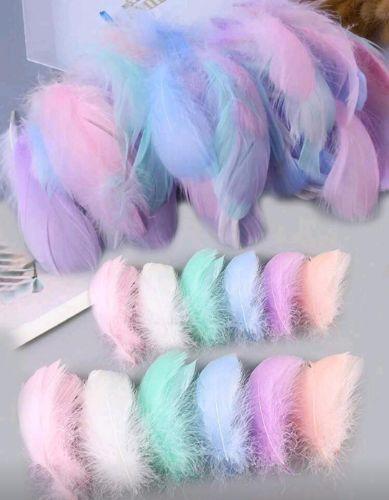 300 plumas de colores varios