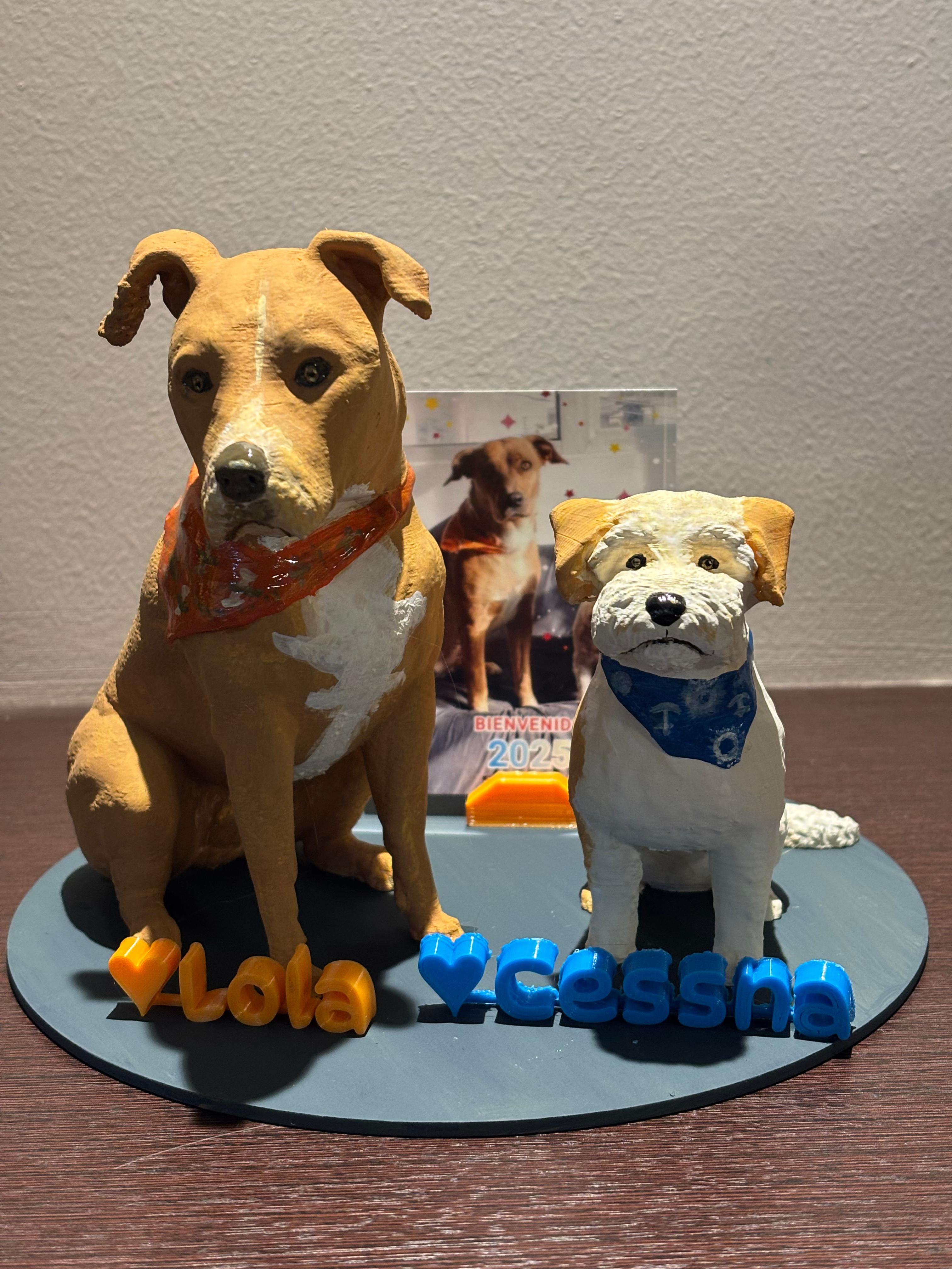 Miniatura 2 de Kit conjunto 10cm y 15 cm