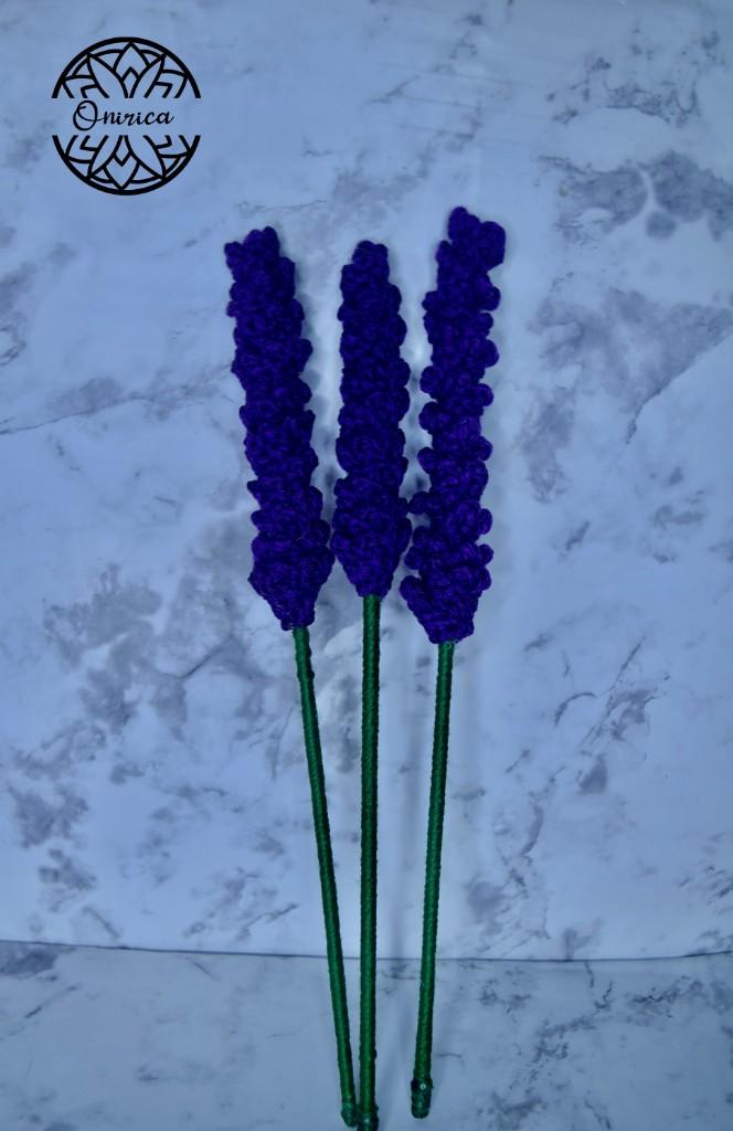 Lavanda