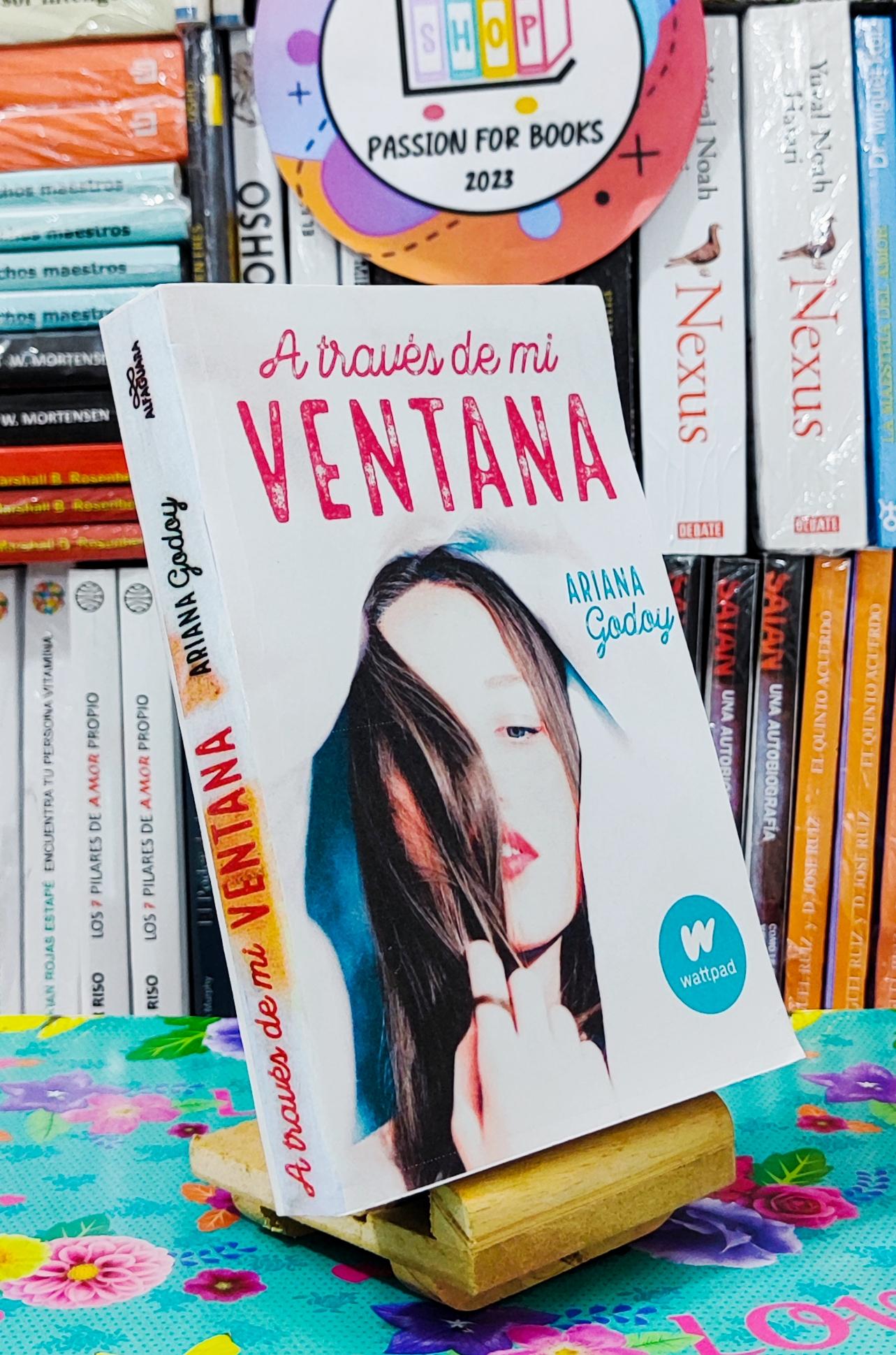 A través de mi ventana (Ariana Godoy) Réplica