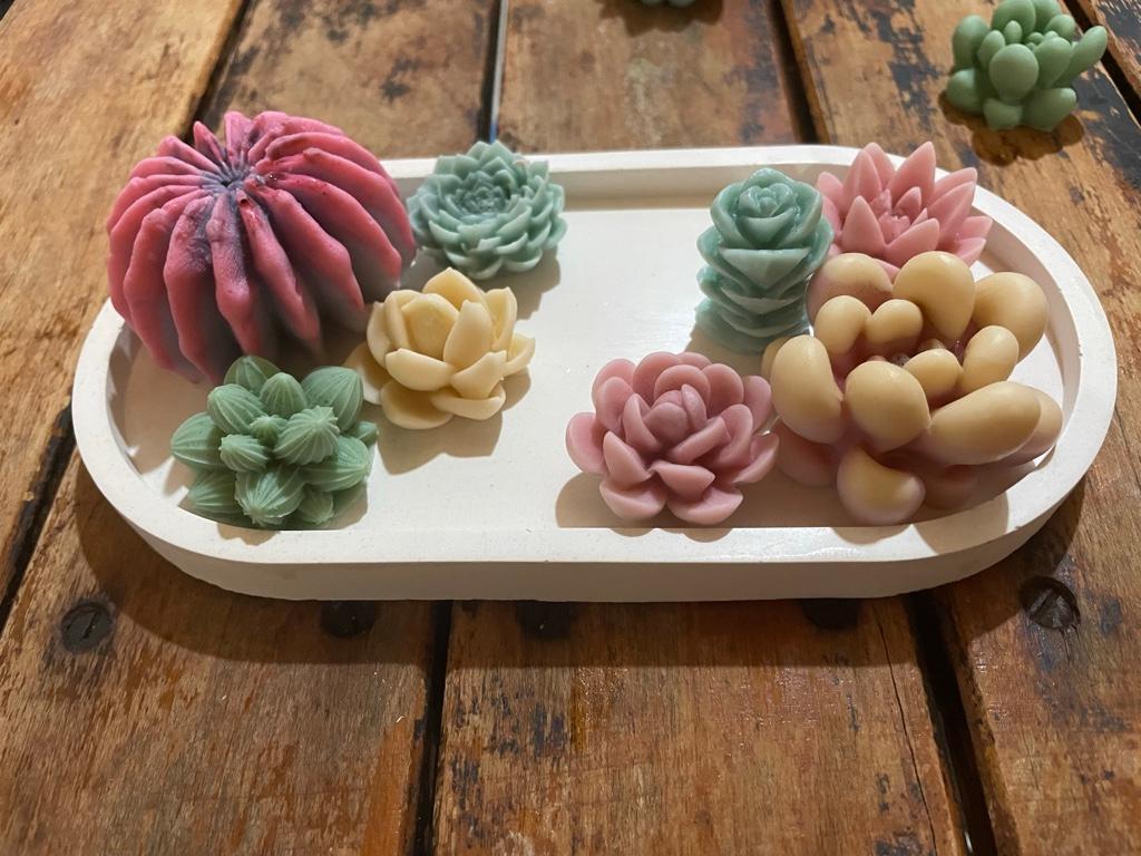 Miniatura 2 de Aromáticas suculentas