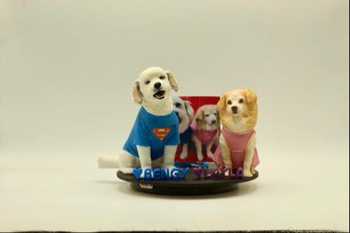 Kit conjunto 10cm y 15 cm