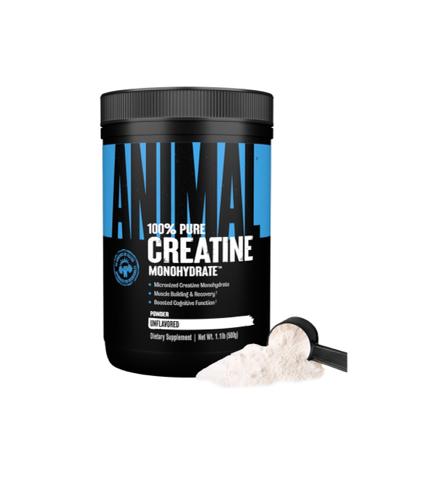 ANIMAL CREATINA MONOHIDRATO MICRONIZADA 100 SERVICIOS