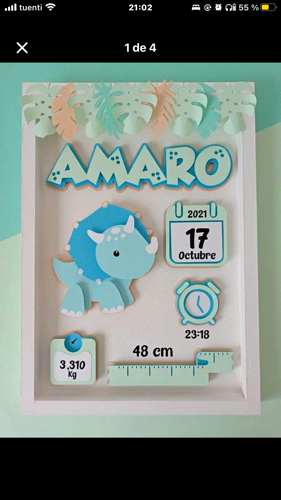 Cuadro recién nacido