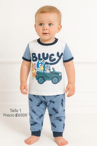Bluy carros