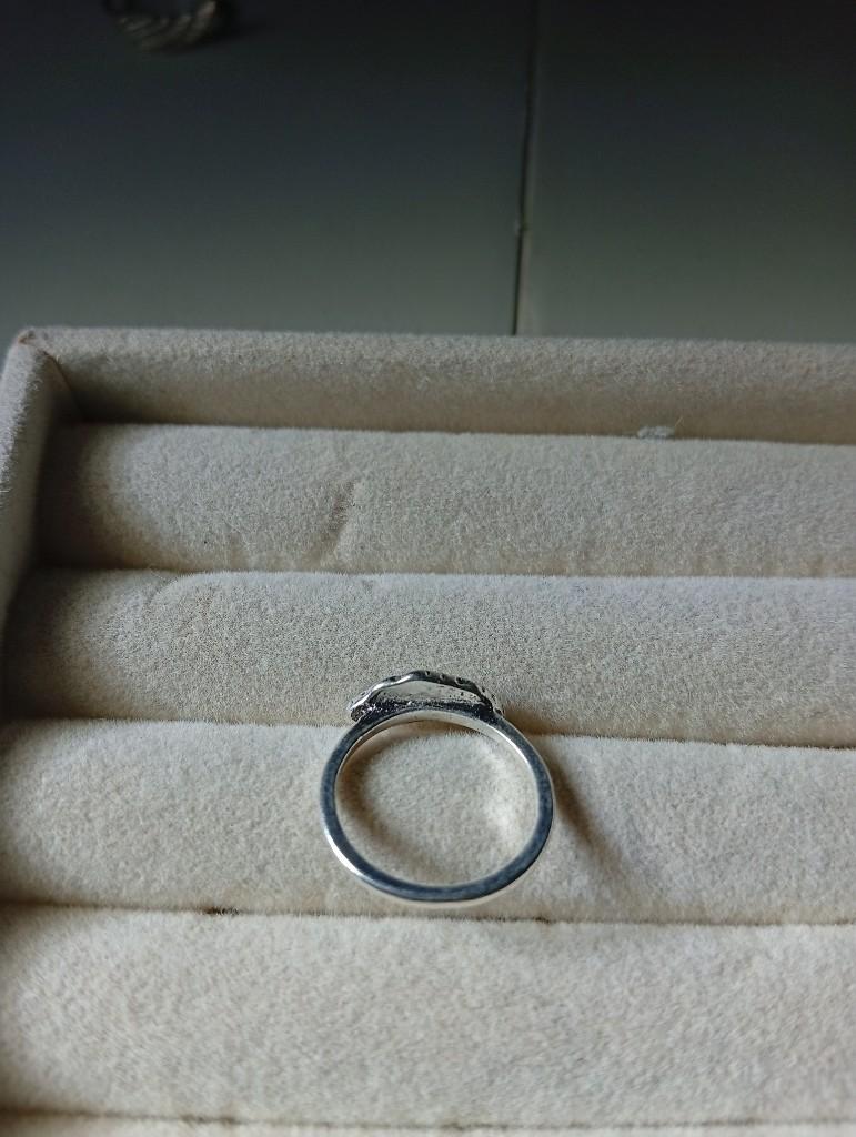 Miniatura 3 de Anillo de Acero Inoxidable (Ala)