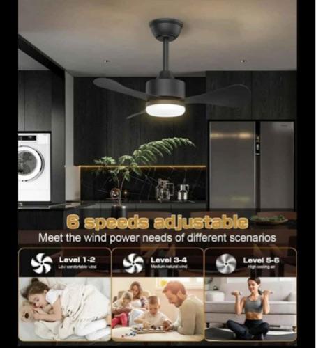 Abanico de Techo Negro