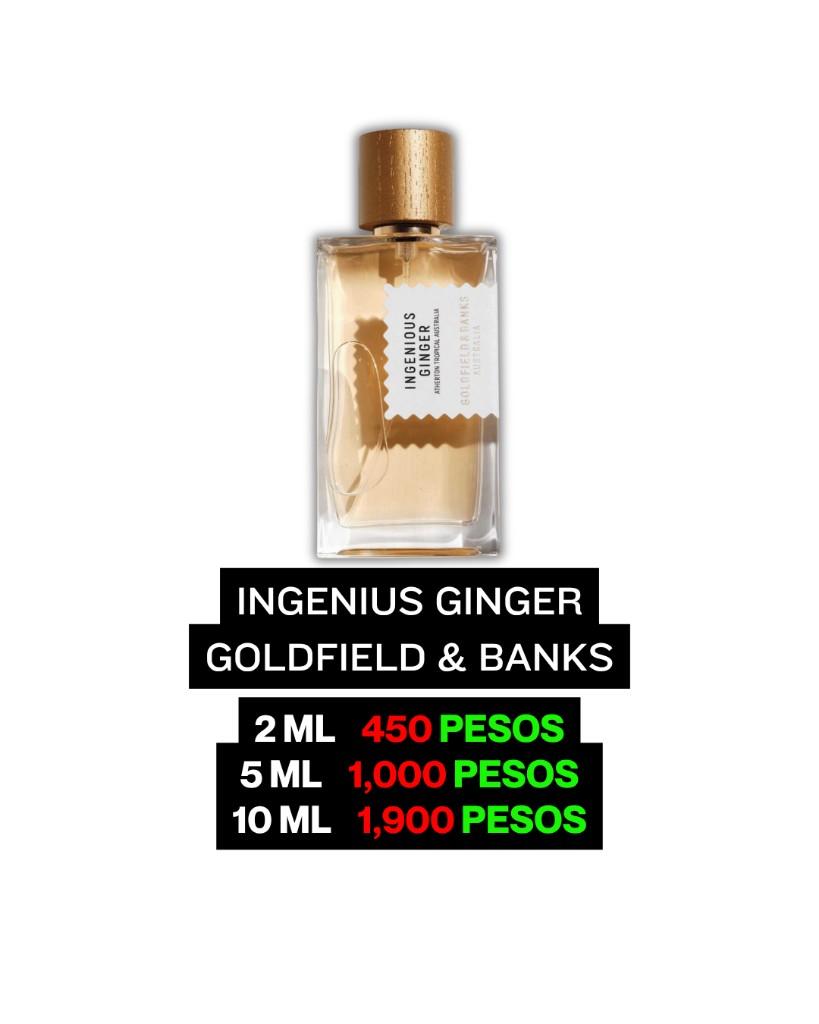 Ingenius Ginger Goldfield & Banks