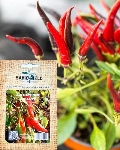 AJI CAYENNE (PICANTE)