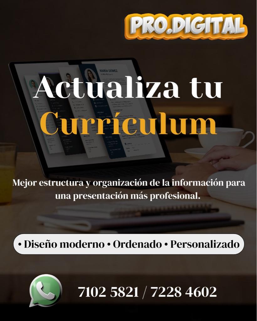 CV kit Profesional