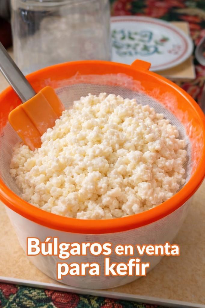 bulgaros de leche