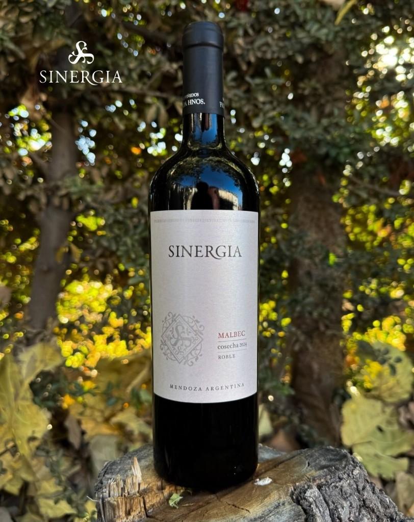Miniatura 3 de Caja Cerrada x 6 Sinergia Malbec Roble