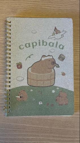 Caderno espiral 58 folhas A5  estampas variadas *unidade*