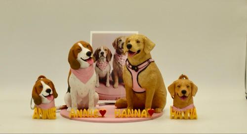 Kit Conjunto 15cm y 15 cm