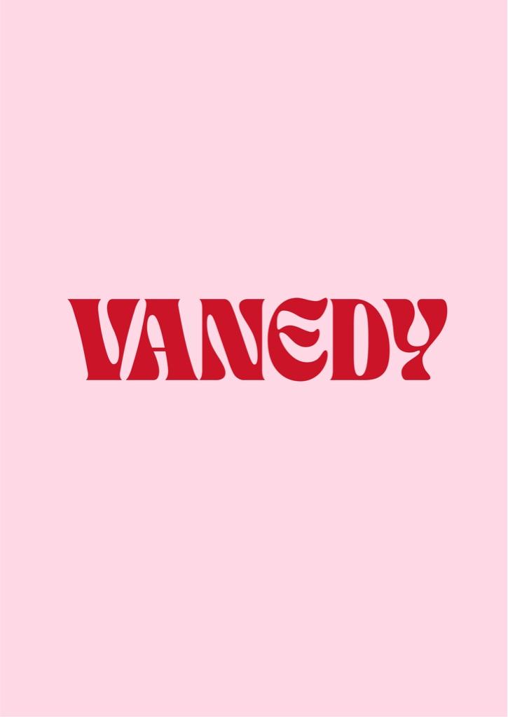 VANEDY SHOP