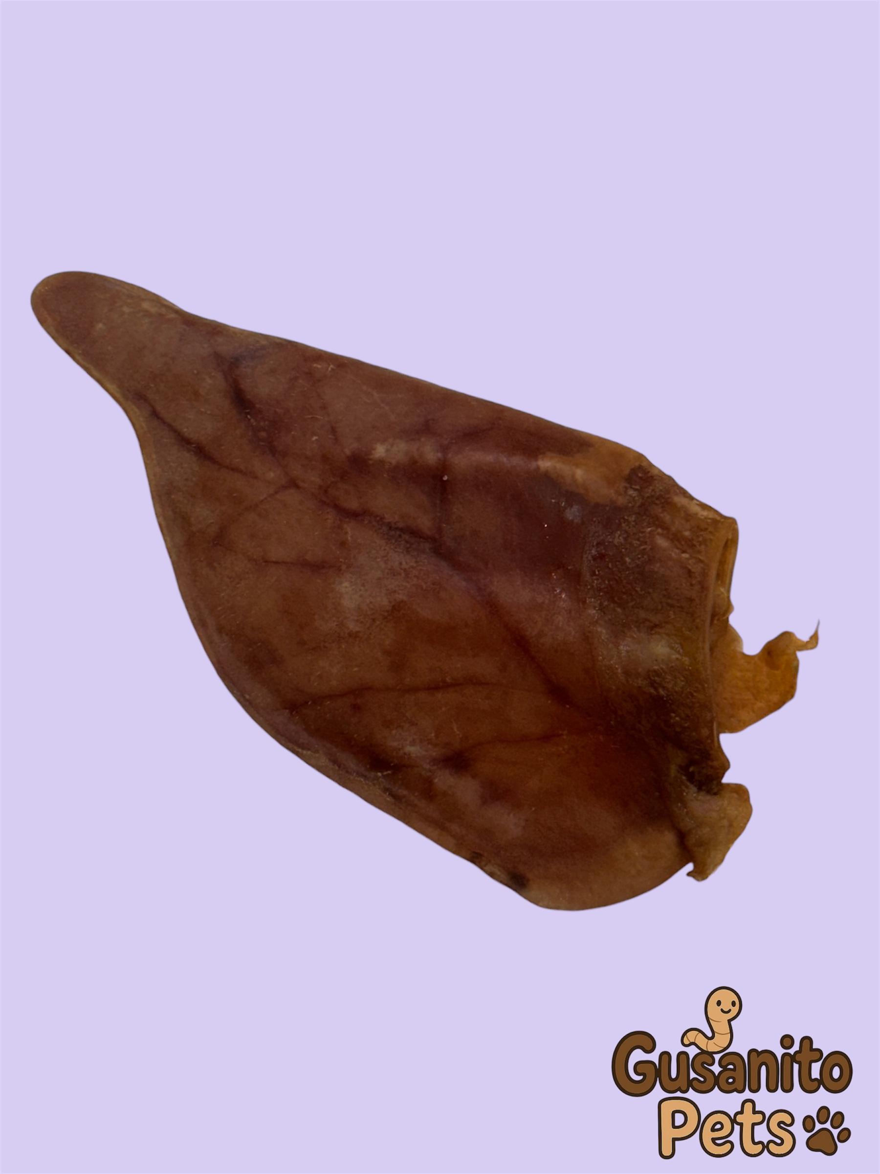 Miniatura 2 de Oreja de Cerdo deshidratada