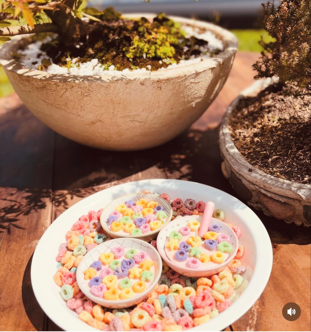 FRUIT LOOPS PEQUEÑO