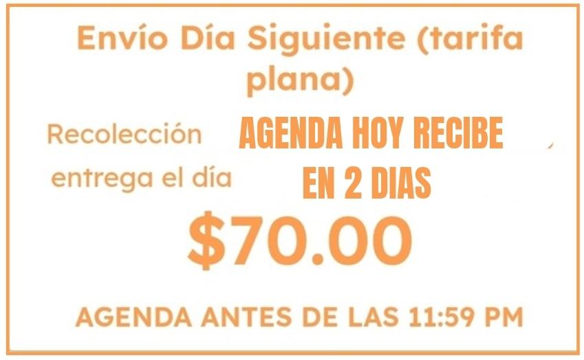 Envío local área Monterrey.