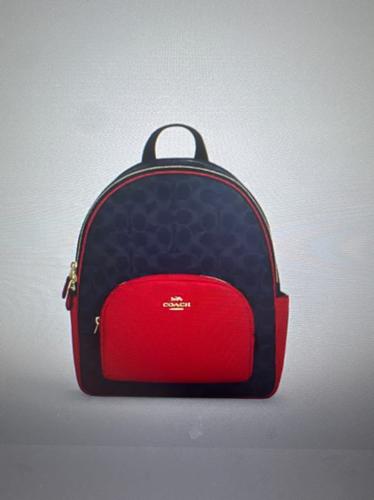 Backpack in signature canva denim/red