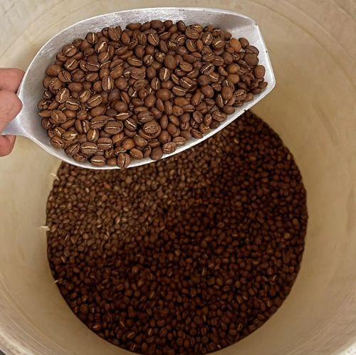 250 gr de Café especial variedad castillo en GRANO