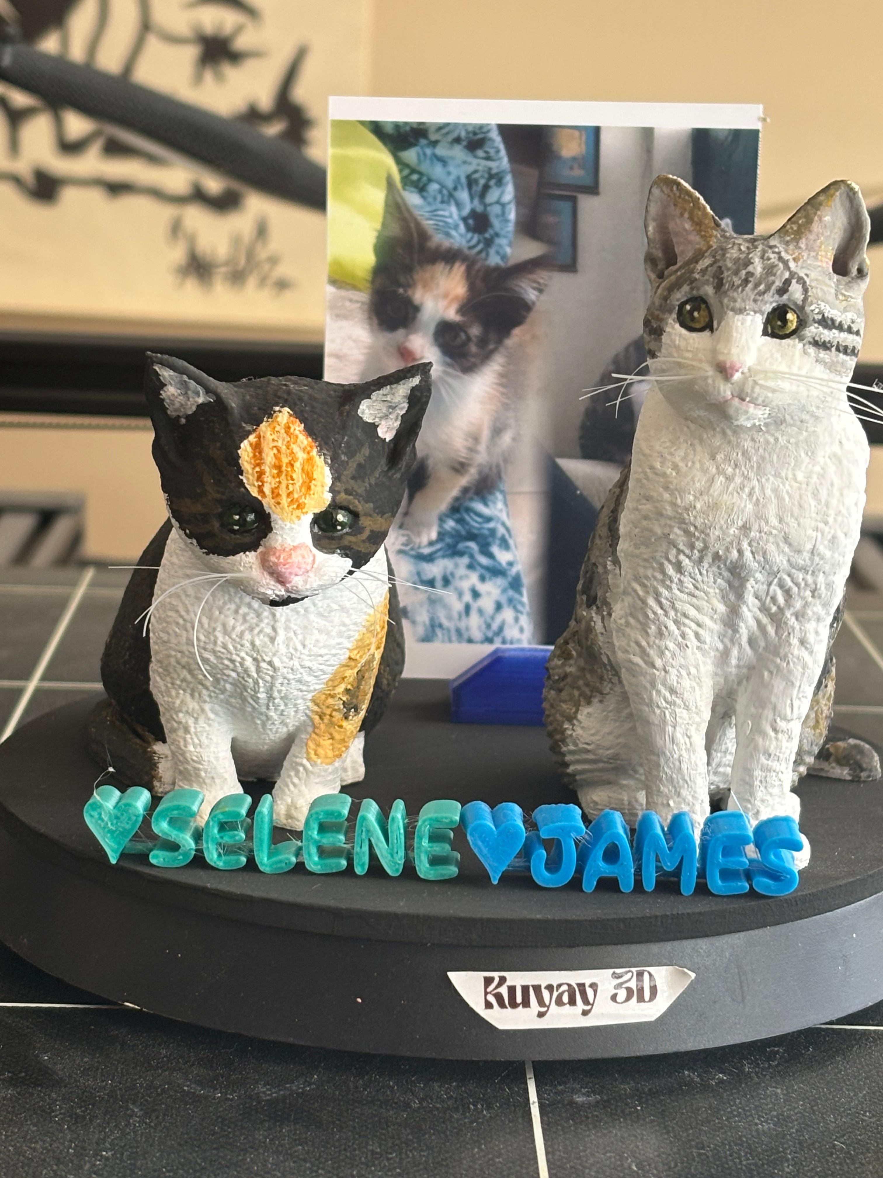 Miniatura 2 de Kit Conjunto 10cm y 10 cm