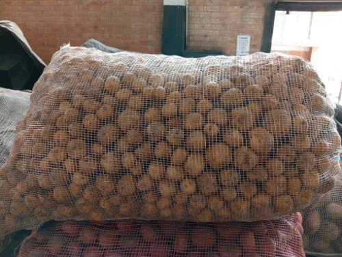 Miniatura 2 de Papa criolla