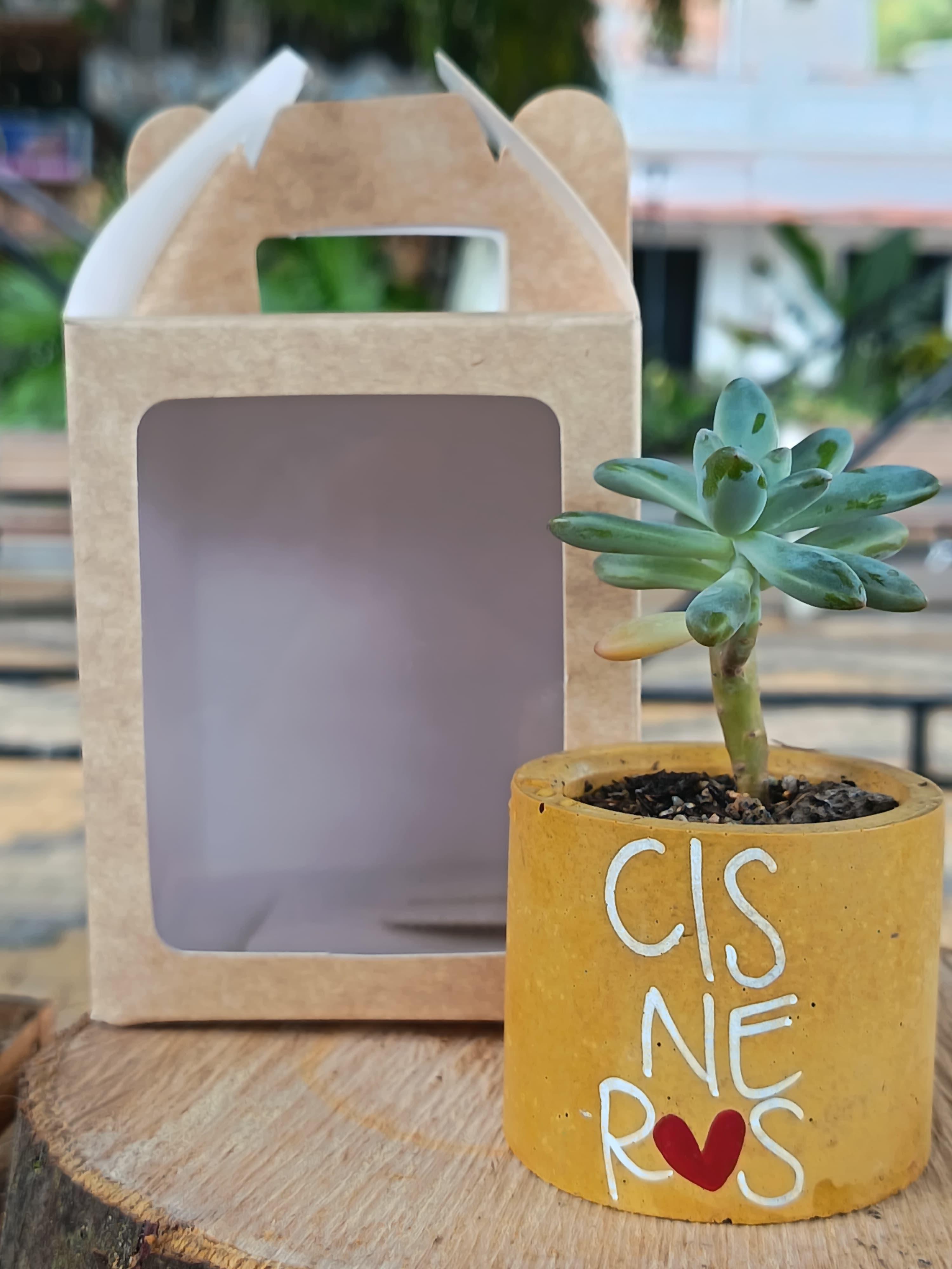 Miniatura 2 de Cilíndrica Cisneros