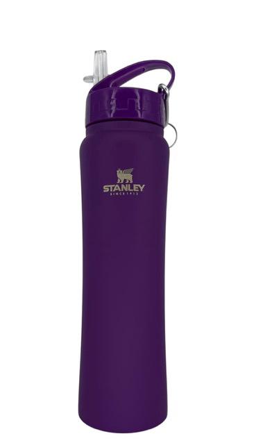 Botella 500ml Stanley