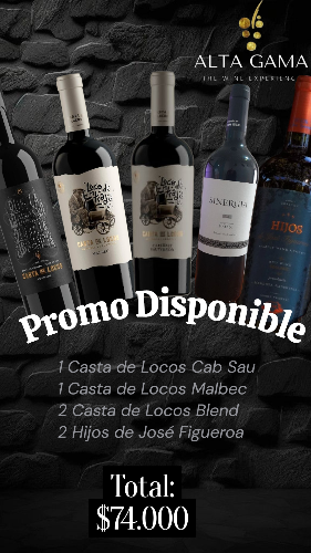 Mix Vinos Ejecutivo