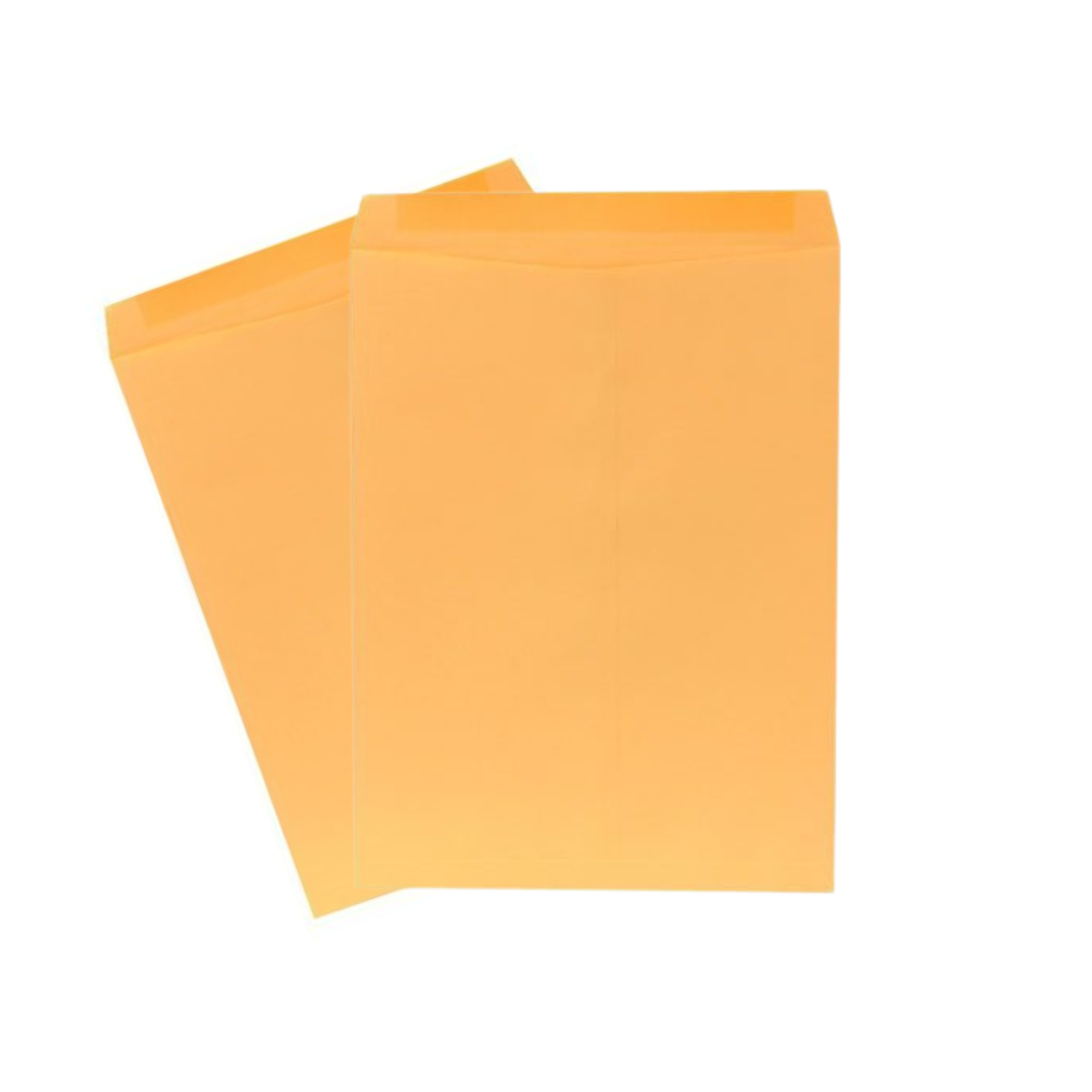 Bolsa manila carta