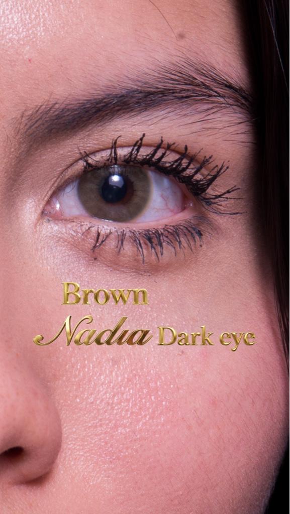 6 pares Nadia Dark Eye  Brown