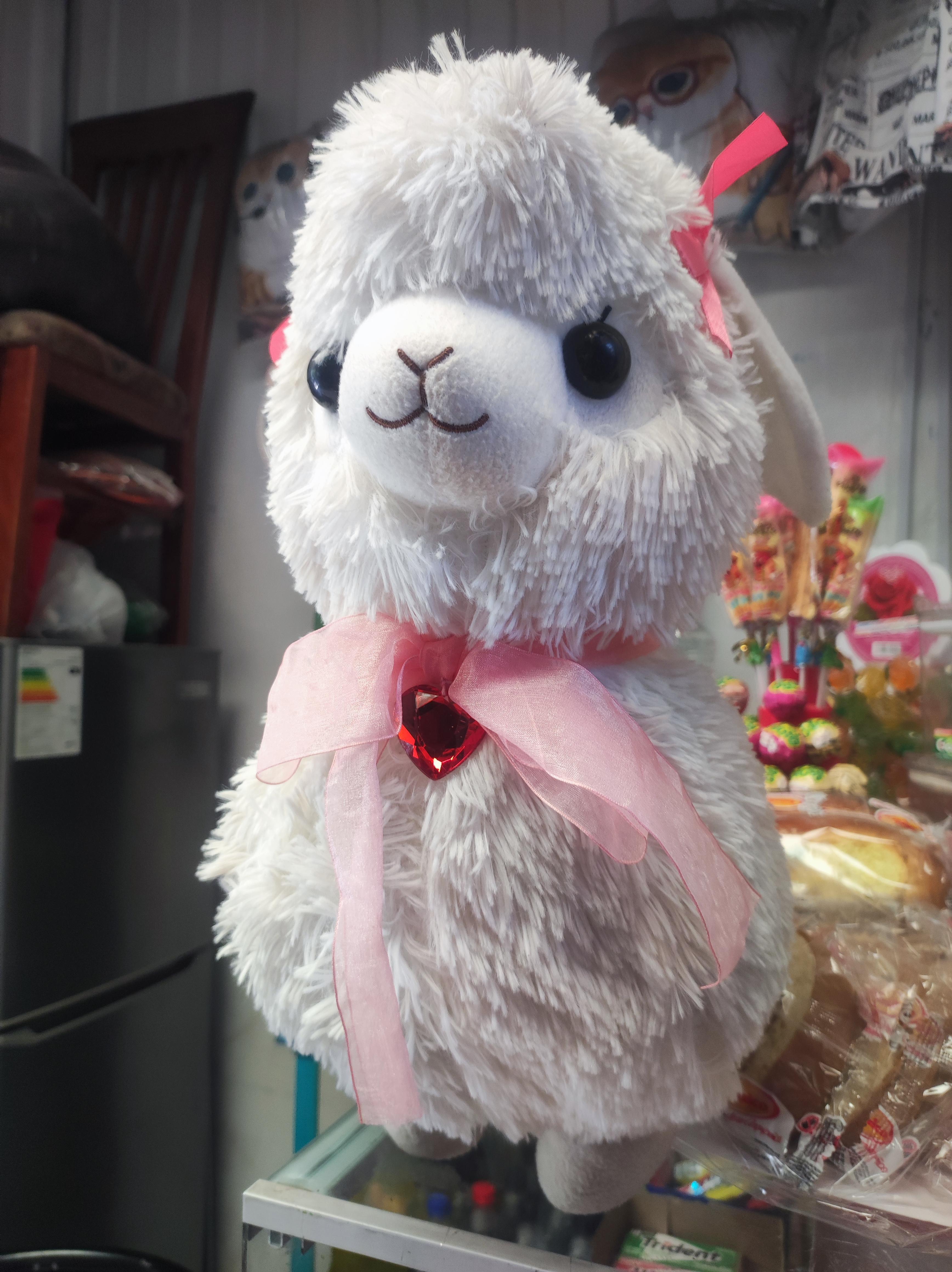 Alpacasoo llama