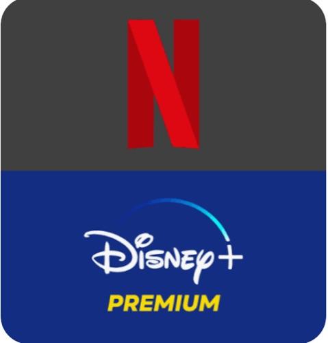 Combo NETFLIX+DISNEY P