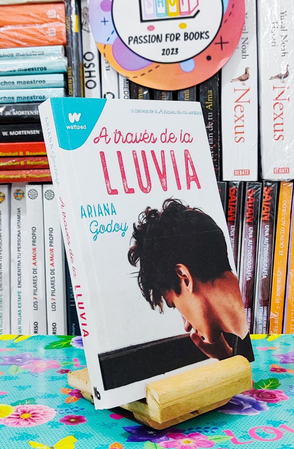 A través de la lluvia ( Ariana Godoy)