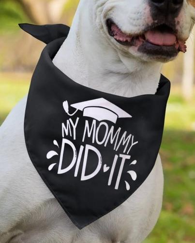 Bandana graduación 🎓