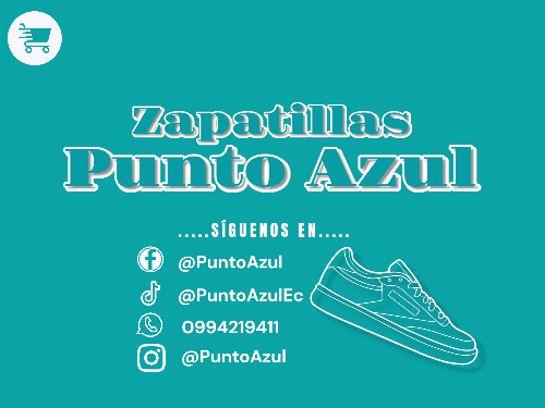 Punto Azul S A