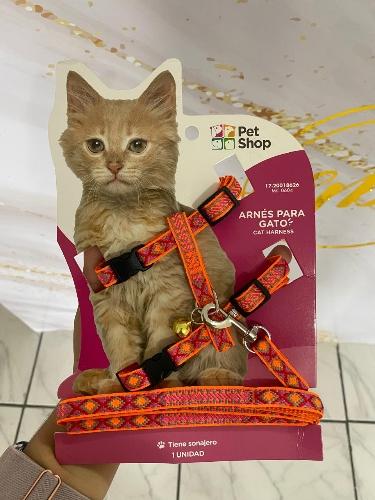 Arnés para gatos