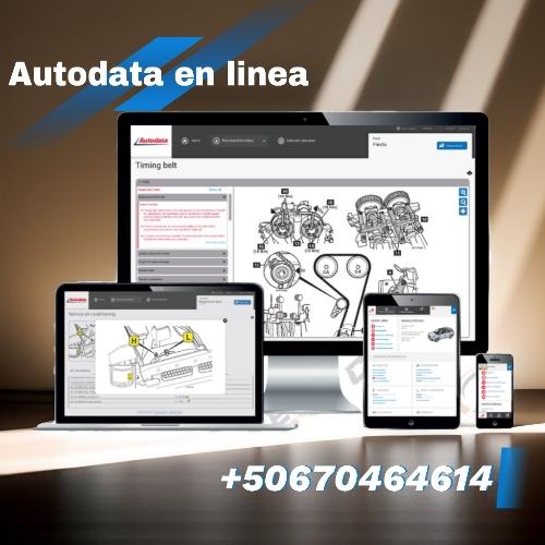Autodata on line 2025 un año de suscripción