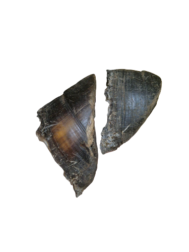 Pezuñas