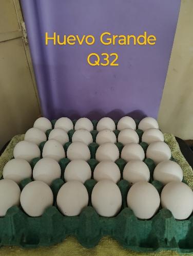 Huevo Grande