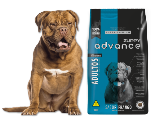 Advance cães adultos 2,5kg