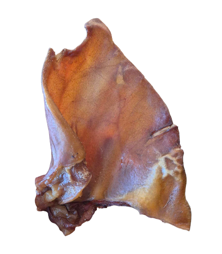 Oreja de cerdo