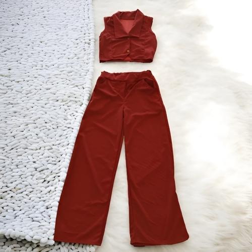 Conjunto Liso corinto