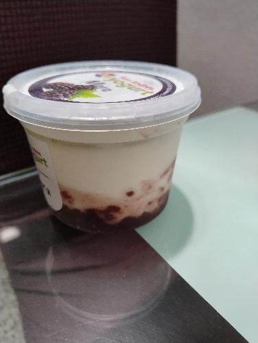 Yogurt artesanal de arándanos