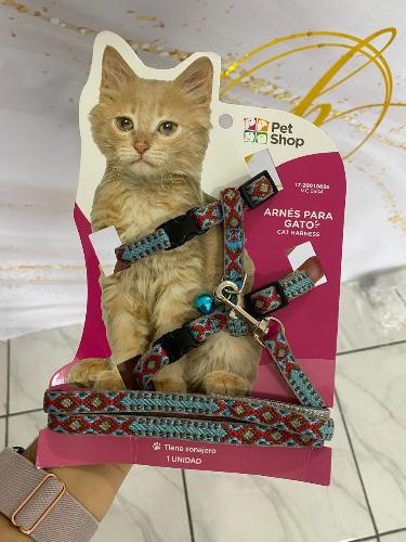 Arnés para gatito