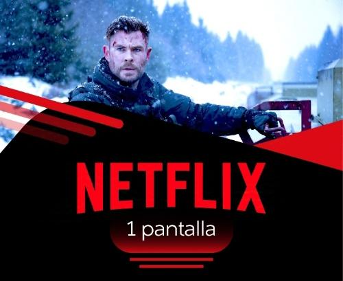 1 Pantalla Netflix 30 dias