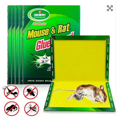 ADHESIVO PARA RATA